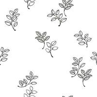 Vector hand drawn sketch doodle  branches leaves seamless pattern. Black and white texture print. Abstract simple botanical leaf stem printing. Template for textile, fashion, print, fabric, wallpaper