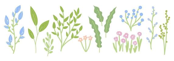 conjunto de primavera plantas, hojas, flores, sucursales. sencillo plano ilustración de botánico elementos aislado en blanco antecedentes vector