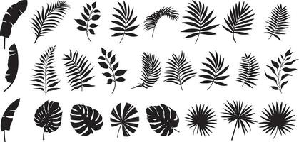 Silhouette Tropical leaves, palm leaves monochrome jungle exotic leaf on white background. vector