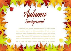 Autumn Frame With Falling Maple Leaves vector