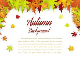 Autumn Frame With Falling Maple Leaves vector