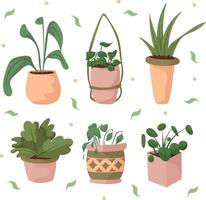 Hand draw set of indoors plants isolated on white. Pink, green and peach fuzz colors. vector