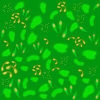 Abstract image of various green color viruses. vector