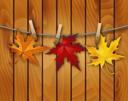 Autumn background with leaves. vector