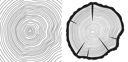 Corte de sierra árbol maletero y tres anillos antecedentes vector