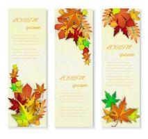 Set of three vector banners