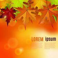 autumn background with red and yellow leaves, vector