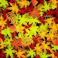 autumn background with red and yellow leaves, vector