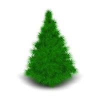 Christmas tree isolated on white background vector