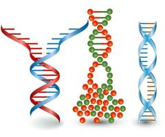 Abstract images of broken DNA chains vector