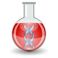 Flask with red liquid and DNA sign. vector