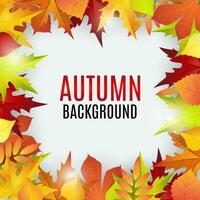 autumn background with red and yellow leaves, vector