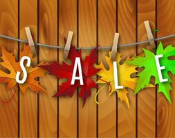 Autumn background with leaves. vector