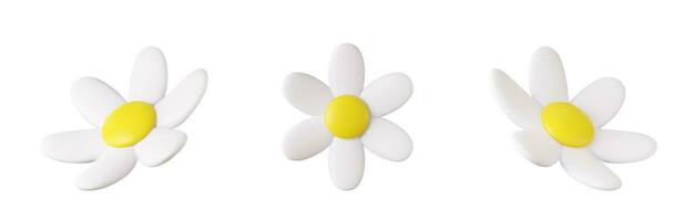 3d colorful daisy flower vector