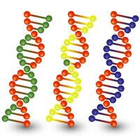 Seamless DNA strands. vector