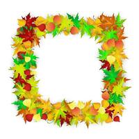 Autumn Frame With Leaves vector