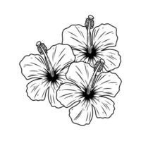 HIBISCUS VECTOR SIMPLE