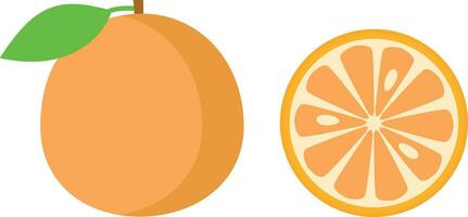 Orange fruit with leaf and slice. Vector illustration