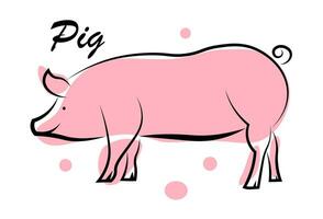 Pink pig on a white background. vector