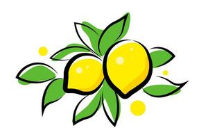 Branch with lemons on white background vector