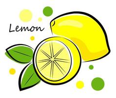 Lemon on a white background vector