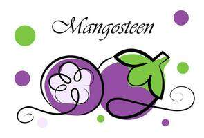 Mangosteen on a white background vector