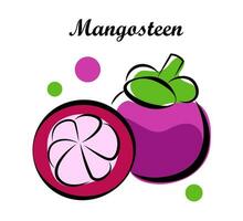 Mangosteen on a white background vector