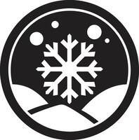 copos de nieve gracia icónico emblema diseño glacial complejidades logo vector icono