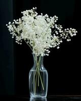 AI generated Baby's breath bouquet in vase on black background photo