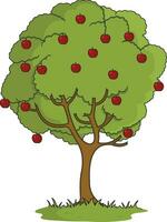 Lush green apple tree vector illustration