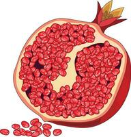 A piece of pomegranate vector