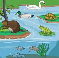animales tal como tortuga, pato, cisne, pescado y rana vector