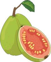 Fresh guava fruit with a cutted slice vector