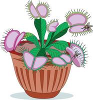 Cactus in a pot vector illustration