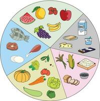 fluir gráfico demostración diferente fuentes de comida vector