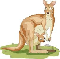 Cute kangaroo with baby in its pouch vector