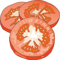 Slices of fresh tomato vector