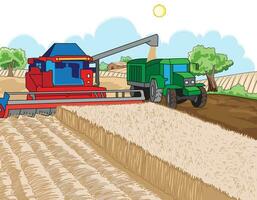 Cutting and collection of wheat crop using combine harvester vector