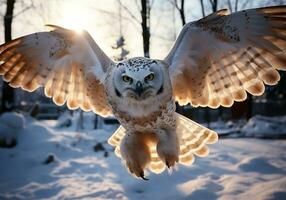AI generated Owl in flight landing on the snowy ground with open wings. Winter time. photo