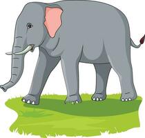 Elephant on the Grass Vector Illustration