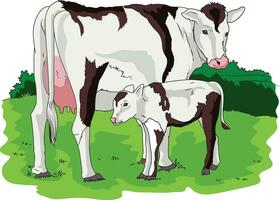 Cute cow and calf standing in a grass field vector