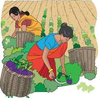 Hard working women cutting brinjals in the field vector