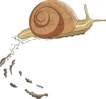 A snail moving slowly vector