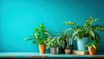 AI generated set of potted plant in front of turquoise wall photo