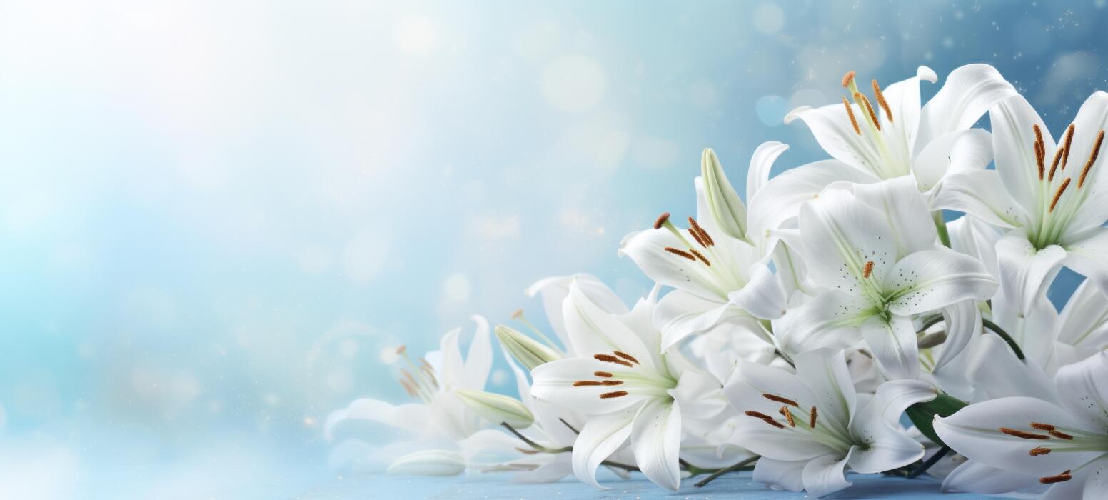 Funeral Program Stock Photos, Images and Backgrounds for Free Download