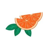 Fresh orange wedges, slice or segment of fruit. Ripe juicy citrus with leaves. Vector cartoon colored illustration of fruity composition isolated on white background.