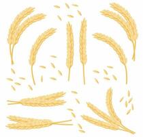 Golden Harvest. Rustic Wheat Fields and Organic Agriculture Collection vector