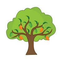 tree mango illustration vector