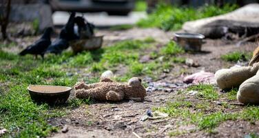 sucio juguetes en un abandonado ciudad en Ucrania foto