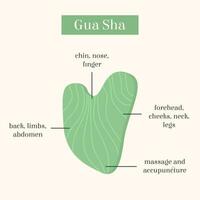 Infographic of Gua Sha Jade scraping massage tool usage. Natural pink rose quartz stone scraper. Chinese traditional facial lifting for woman. Facial acupoints. Vector flat illustration.